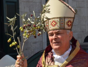vescovo_palme