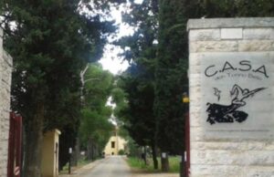 C.A.S.A-don-Tonino-Bello