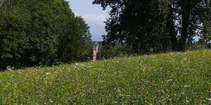 campanile_domenica_29_agosto